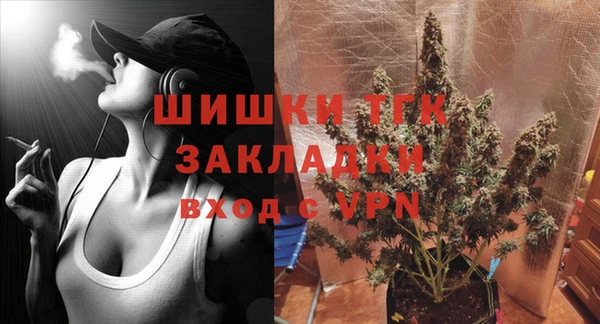 амф Дмитриев
