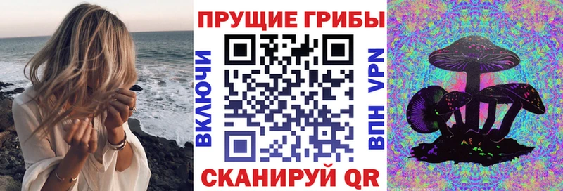 Псилоцибиновые грибы Psilocybe  Мещовск 